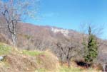 pelion property